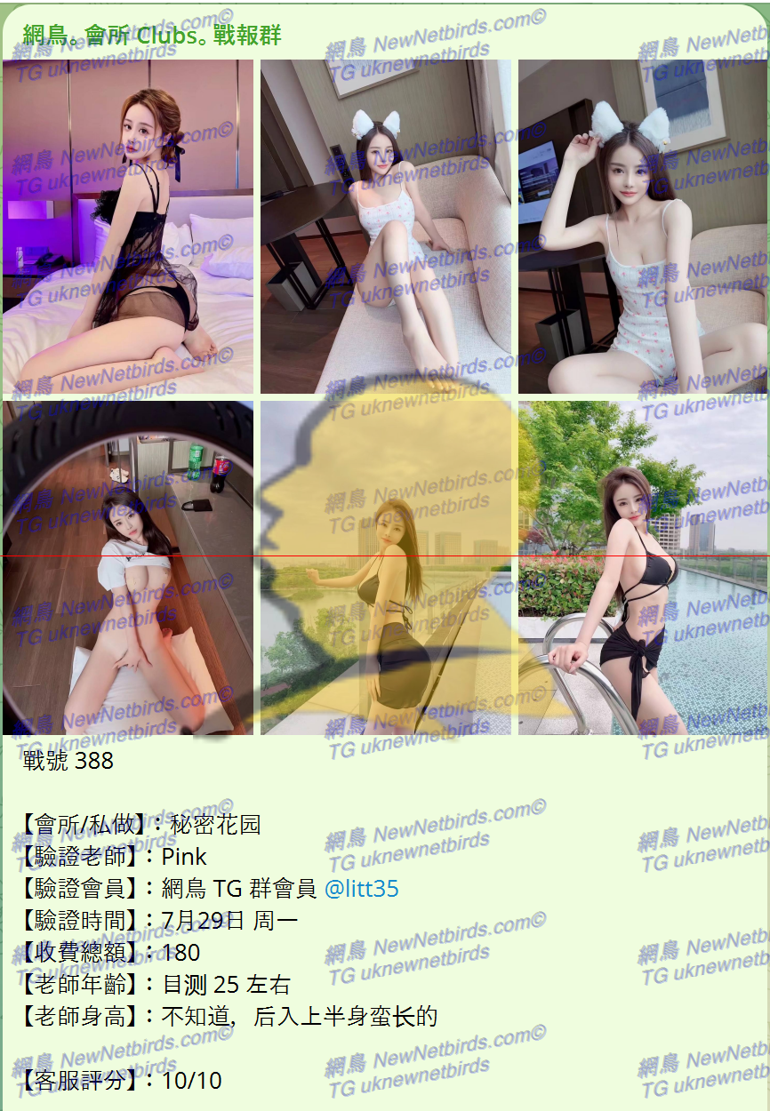 戰號 388 1.png